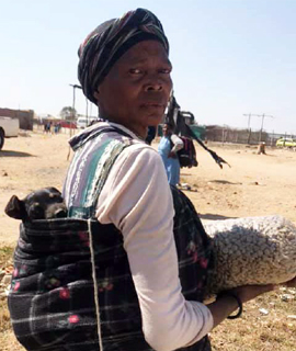 BAN_thebasics The Dogs Trust - Township Feeding Program